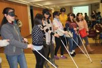 Blind experience by participants 1